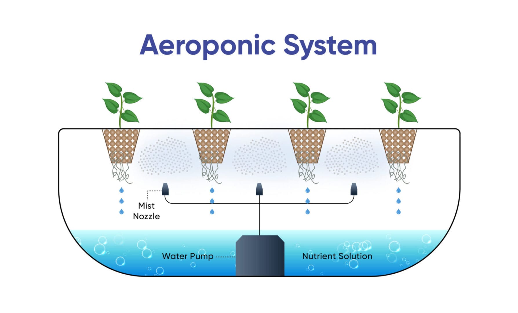 A diagram of the aeroponic system with water and plants.