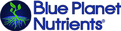 A blue font is written in the style of an old fashion logo.