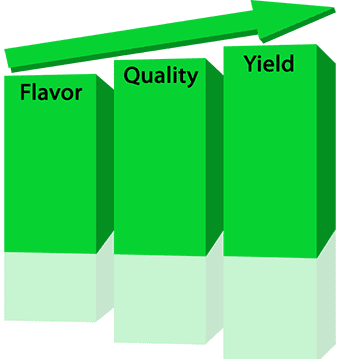 A green bar graph with three different types of flavor, quality and yield.
