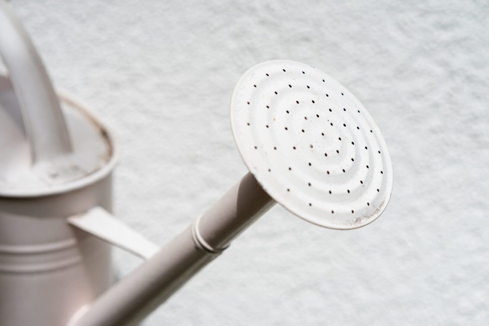 A white shower head sitting on top of a floor.